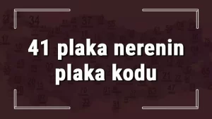 41 Nerenin Plakası? Kocaeli Plaka Kodu Kaçtır? Kocaeli İlçelerinin Plaka Kodları Ve Harfleri