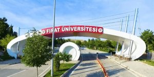 Fırat Üniversitesi 198 Sözleşmeli Personel Alacak