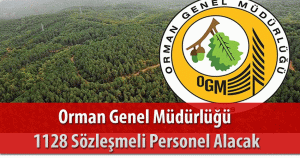 Orman Genel Müdürlüğü 1128 Sözleşmeli Orman Muhafaza Memuru Alacak
