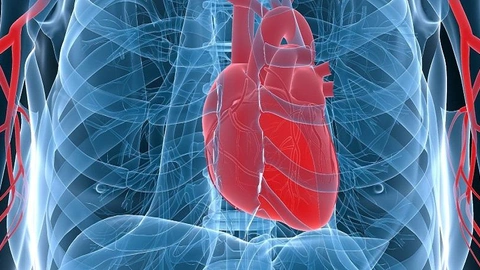 Diyabet ve Kalp Hastalıkları: İlişkisi, Risk Faktörleri ve Korunma Yöntemleri