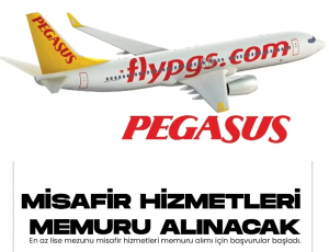 Pegasus En Az Lise Mezunu Misafir Hizmetleri Memuru Alımı Başvuruları Sürüyor