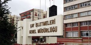 Çay İşletmeleri Genel Müdürlüğü 1365 İşçi Alacak