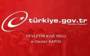 2024 E Devlet Üzerinden Hizmet Döküm Belgesi Nasıl Alınır?
