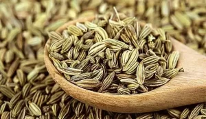 Rezene Yağı Neye İyi Gelir Faydaları Nelerdir? Rezene Yağının 8 Faydası