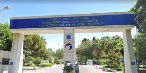 Türkiye Elektrik İletim Aş. 126 İşçi Alımı Yapılacak